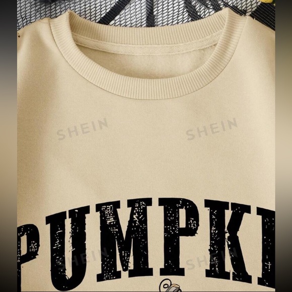 Pumpkin Season 🎃 Pullover 🍂 - Picture 5 of 5
